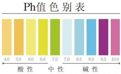一、剧情扩展与集数差异