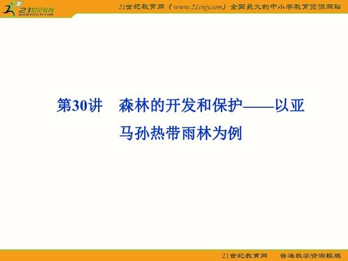 三、内容优化策略与实践