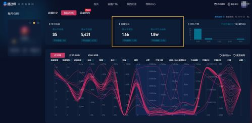 五、监控与分析关键词表现