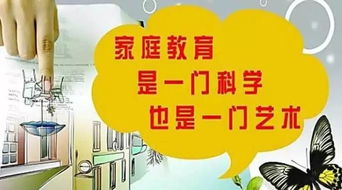 四、节目对家庭教育的启示