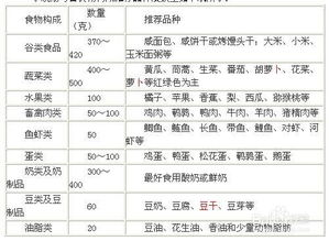 二、营养均衡的标准与实施