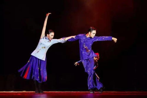 二、掌握舞蹈技巧与编排