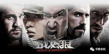 三、《战狼1》剧情解析与亮点回顾