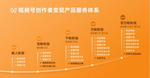 五、了解版权政策，尊重内容创作者