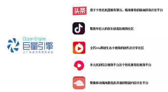 四、优化视频播放体验的技巧