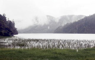 四、普达措国家公园：原始生态的自然美景