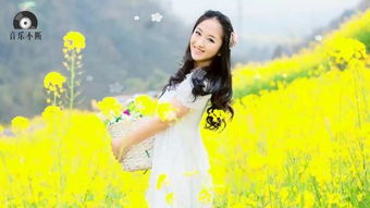 一、美丽的姑娘影片类型及特点