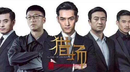 二、免费电视剧资源的质量与选择