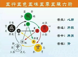 五、日日久久与心理健康的关系