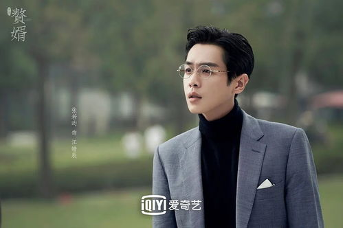 一、赘婿电视剧简介