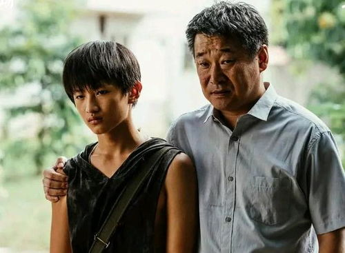 五、剧集评价与影响