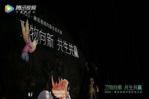 四、三更视频的互动与社群建设