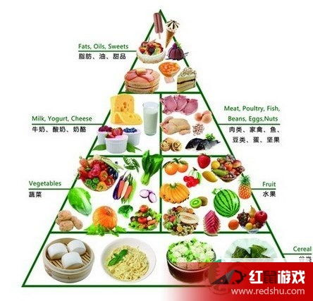 五、健康饮食搭配，享受美味与营养