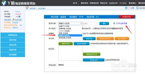 短信验证码平台的基本功能