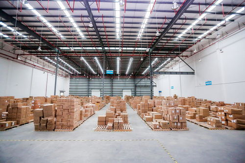 电商怎么找代发仓库,电商怎么找代发仓库临沂