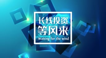 卡盟的生存之道：技术与服务的双重博弈