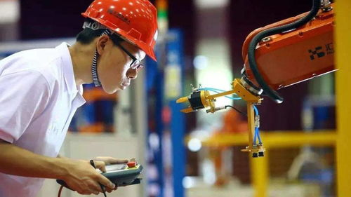 职业突围:从维修工到技术创业者的惊险一跃