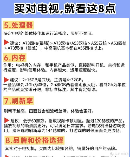 2025年的终极选择指南