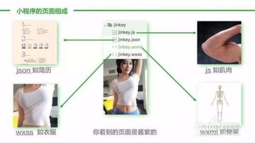 详细组装步骤实操教程