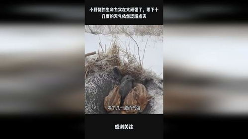 电脑组装视频教学2019,电脑组装详细视频