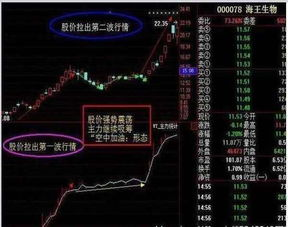 第二章：从点亮主机到征服Discord——实战型学习路线图