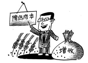 2025年装机思路:明确需求,把钱花在刀刃上