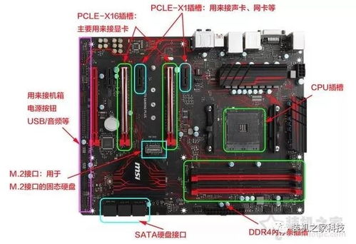 硬件选配指南:CPU、GPU到主板的不踩雷策略