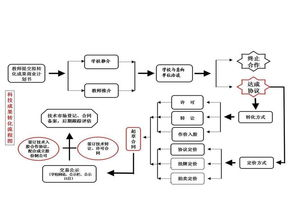 实战组装：精密操作的工程化流程