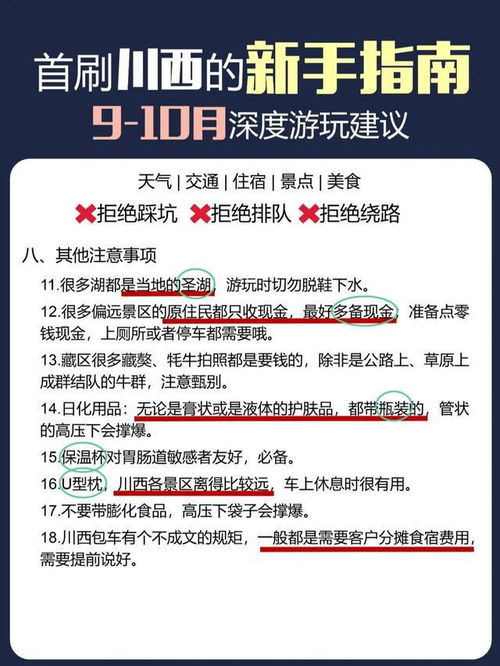 问答:新手避坑指南