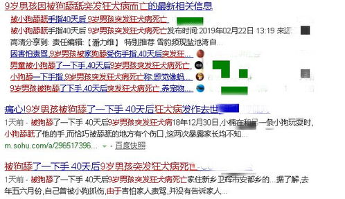 第二步:组装实操详解,这些细节决定生死
