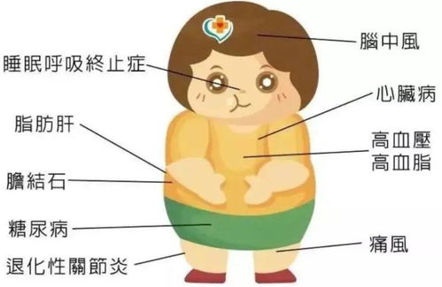 新手学电脑组装难吗,新手学电脑组装难吗多少钱