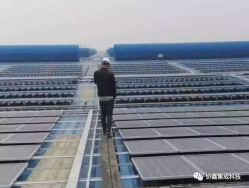 安装与走线:细节决定成败