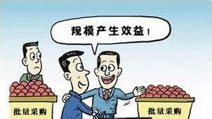 新手如何节省成本并避免常见错误