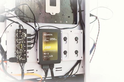 问答时间：小白装机高频疑问