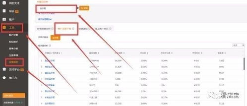 后期优化与维护