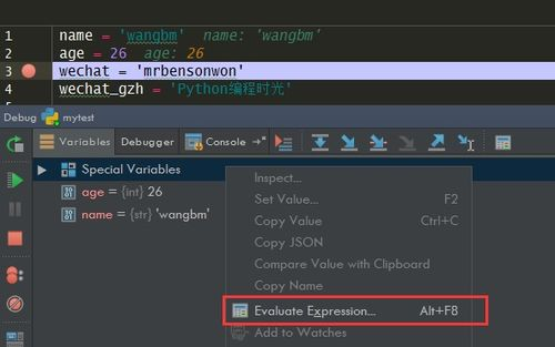 第四步:终极点亮调试——从黑屏到完美运行的决胜局