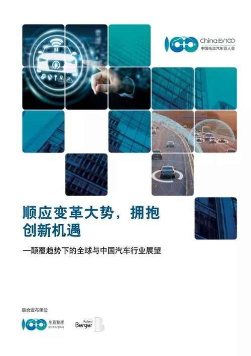 常见挑战与未来展望：2025年如何避免陷阱，拥抱趋势
