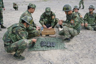 纸上谈兵到真刀真枪：动手实践是核心