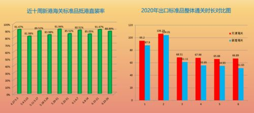 加速秘籍:2025新手如何有效缩短组装“痛苦周期”?
