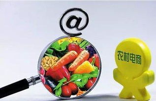 自己怎么干电商,我想学电商怎么入手