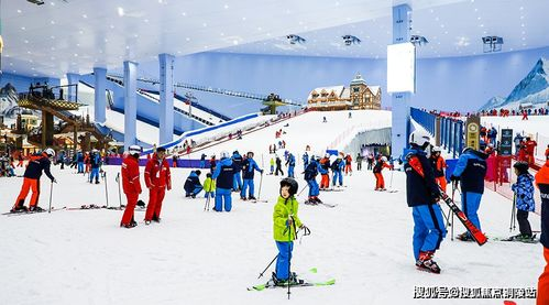 sora2去水印,sora2去水印网站