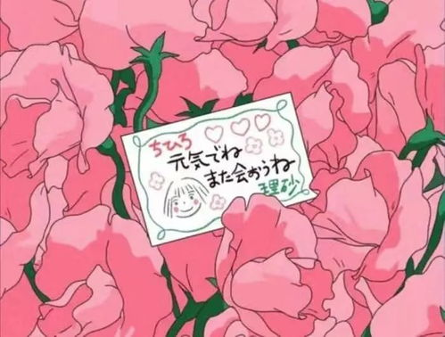 sorace,sora测试关闭了吗