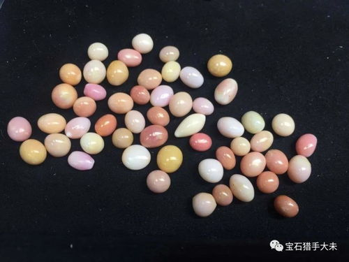 海螺下载,海螺下载官网