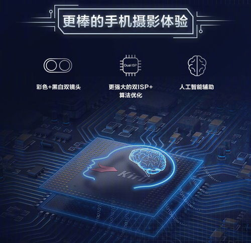 微信头像2026,微信头像2026男