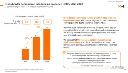 一、 印尼跨境电商市场的巨大吸引力：潜力与优势并存