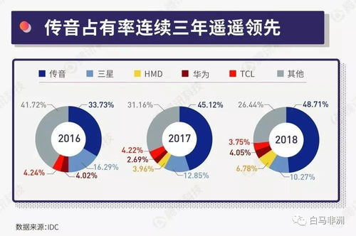 TikTok国际版的起源与发展
