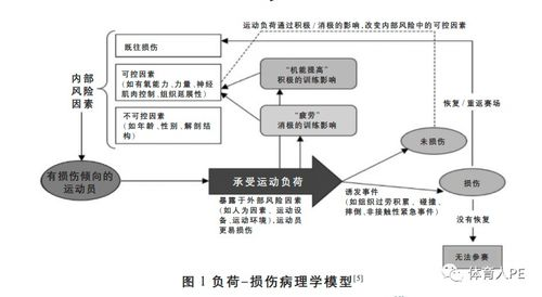 多店铺关联风险的定义与成因分析