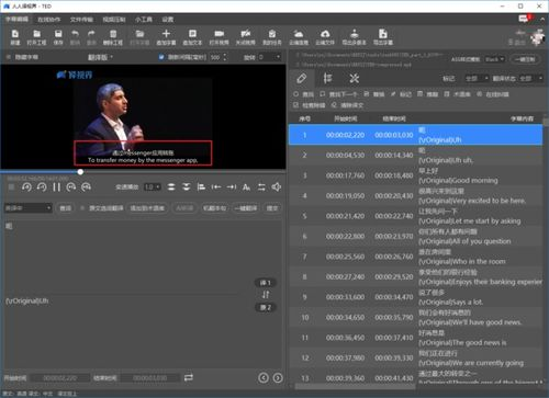 理解无字幕视频翻译的基本概念与挑战