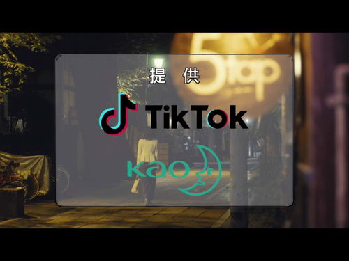 TikTok橱窗是什么？