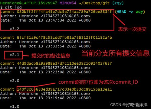 揭开面纱:MCN全称及其核心定义